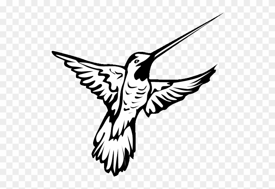 Detail Hummingbird Black And White Clipart Nomer 20