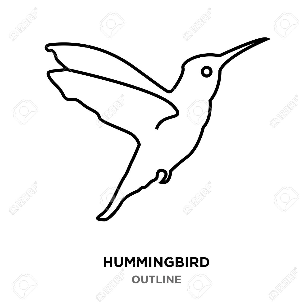 Detail Hummingbird Black And White Clipart Nomer 27