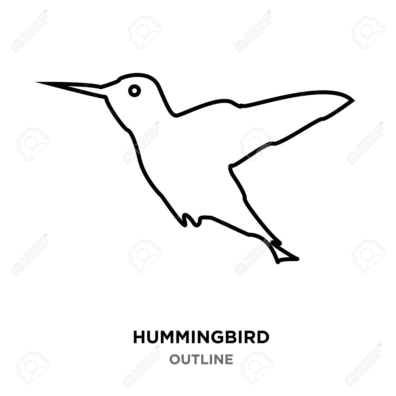 Detail Hummingbird Black And White Clipart Nomer 29