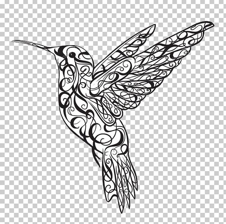 Detail Hummingbird Black And White Clipart Nomer 35