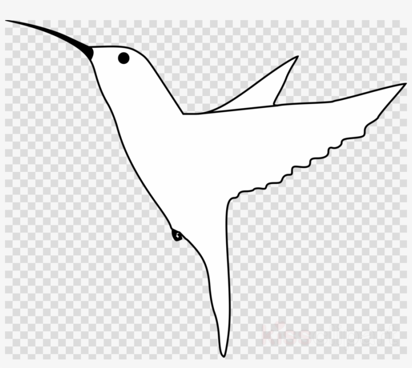 Detail Hummingbird Black And White Clipart Nomer 40