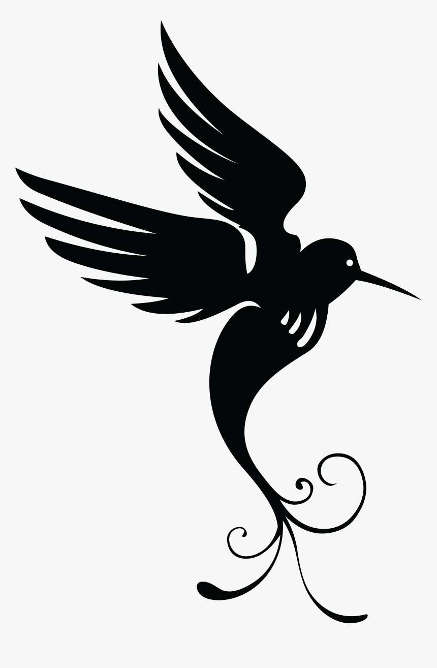 Detail Hummingbird Black And White Clipart Nomer 3