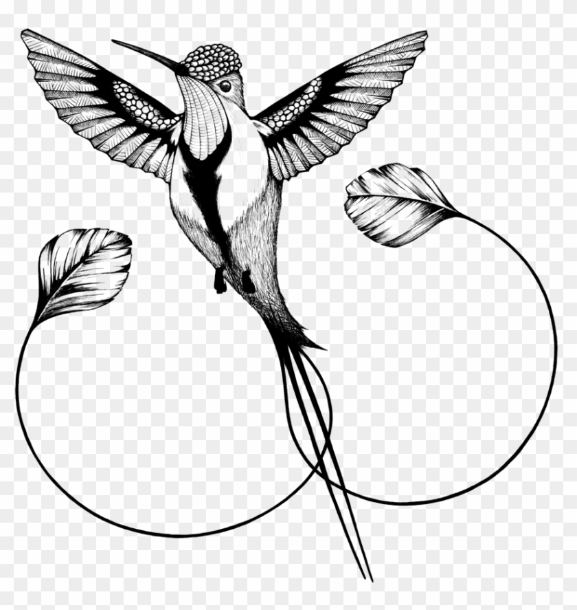 Detail Hummingbird Black And White Clipart Nomer 45