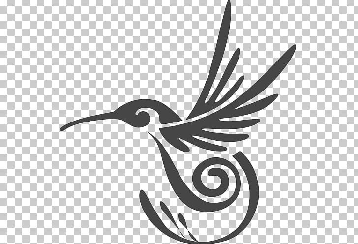 Detail Hummingbird Black And White Clipart Nomer 47