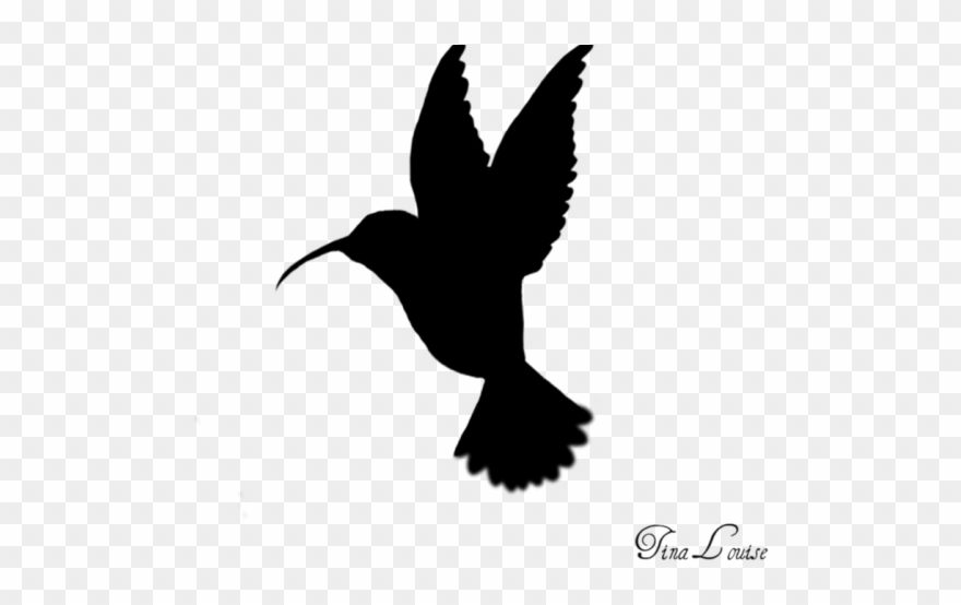 Detail Hummingbird Black And White Clipart Nomer 49