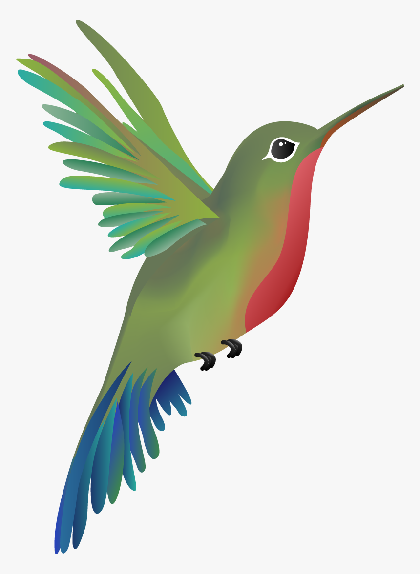 Detail Hummingbird Clip Art Free Nomer 9