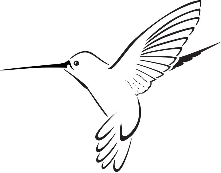 Detail Hummingbird Clip Art Free Nomer 5