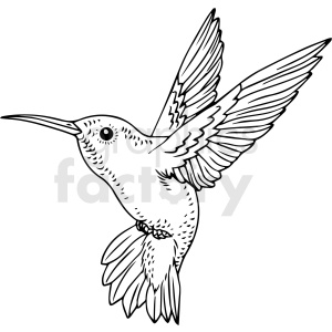 Detail Hummingbird Clip Art Free Nomer 39