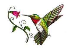Detail Hummingbird Clipart Nomer 26