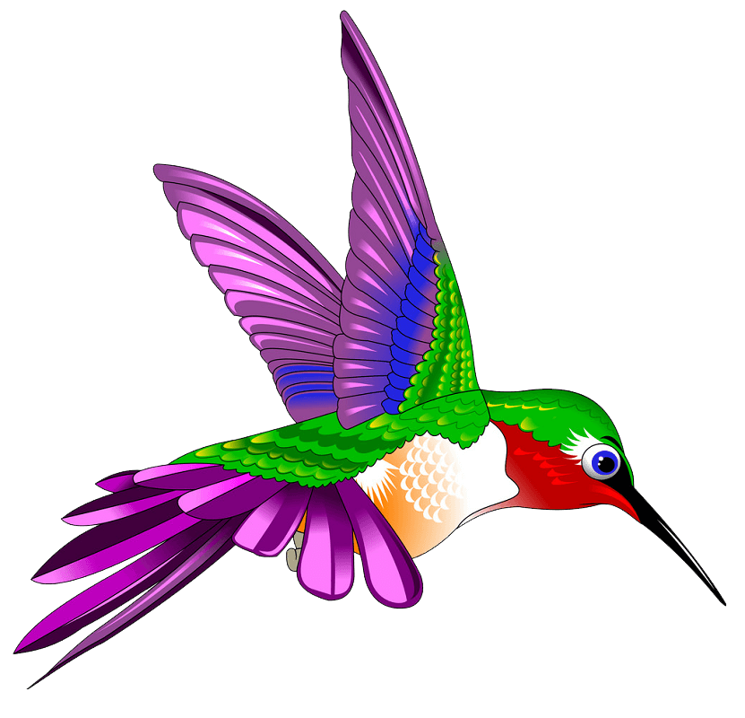 Detail Hummingbird Clipart Nomer 4
