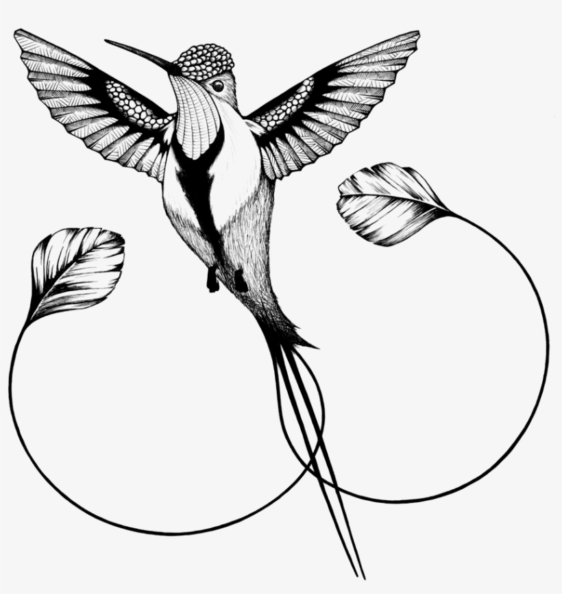 Detail Hummingbird Clipart Black And White Free Nomer 12