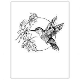 Detail Hummingbird Clipart Black And White Free Nomer 20