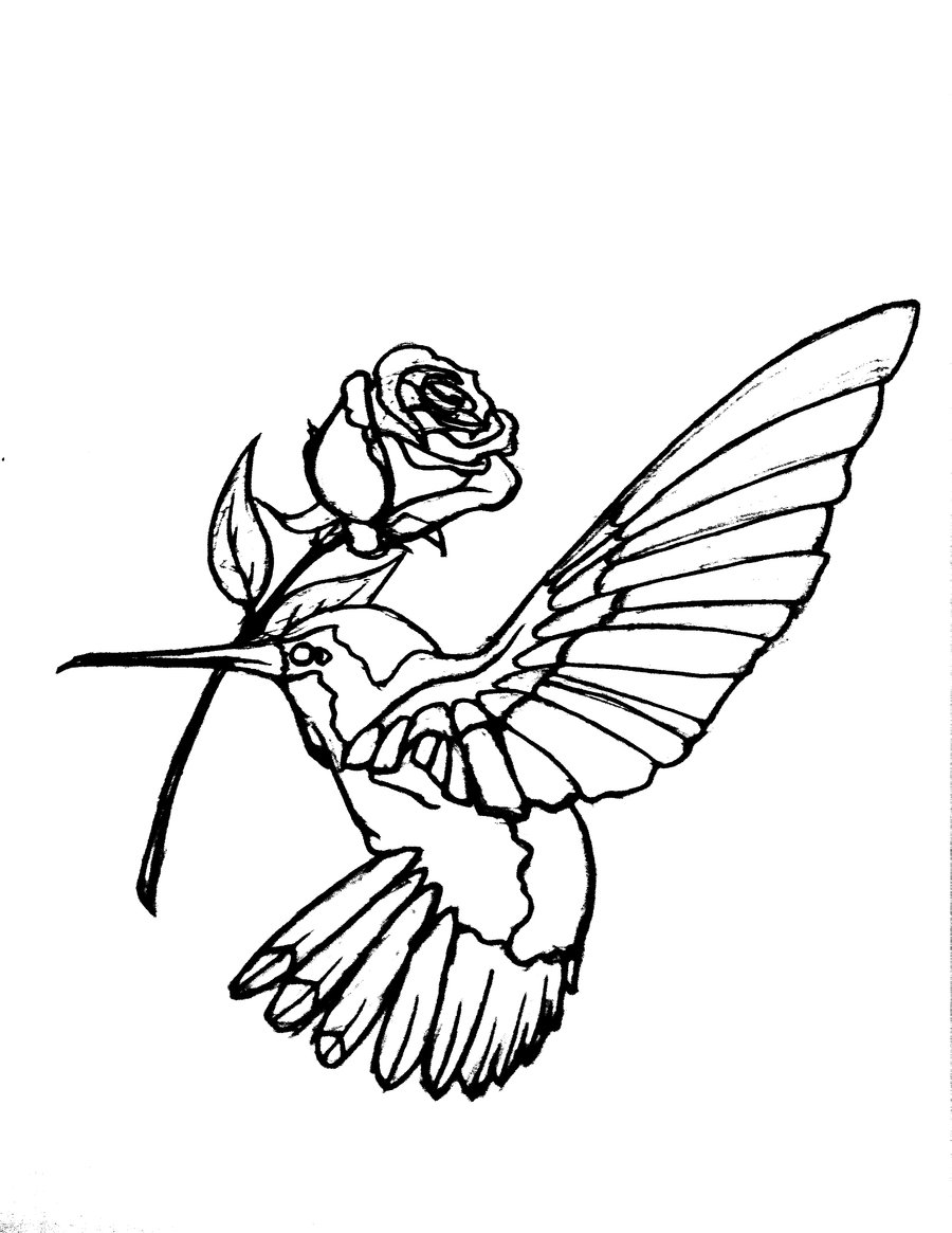 Detail Hummingbird Clipart Black And White Free Nomer 38