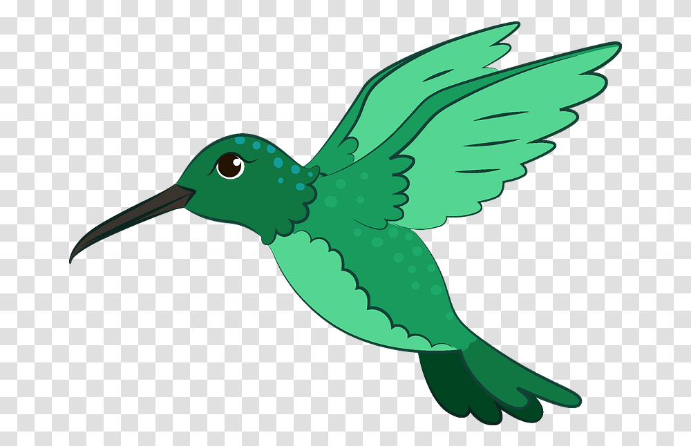 Detail Hummingbird Clipart Free Nomer 9