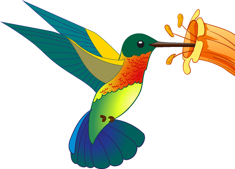 Detail Hummingbird Clipart Free Nomer 11