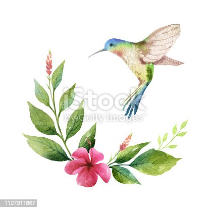 Detail Hummingbird Clipart Free Nomer 15