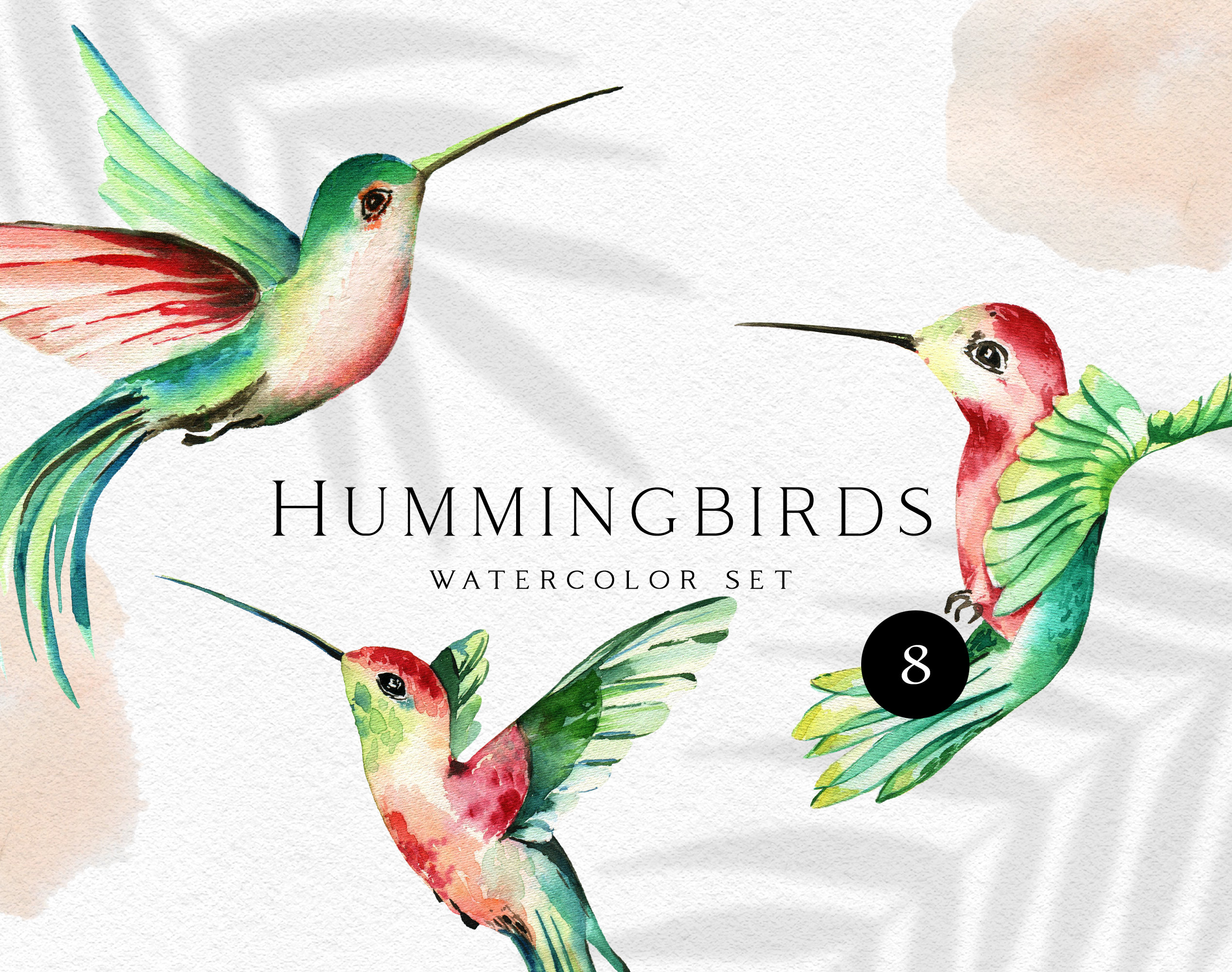 Detail Hummingbird Clipart Png Nomer 46