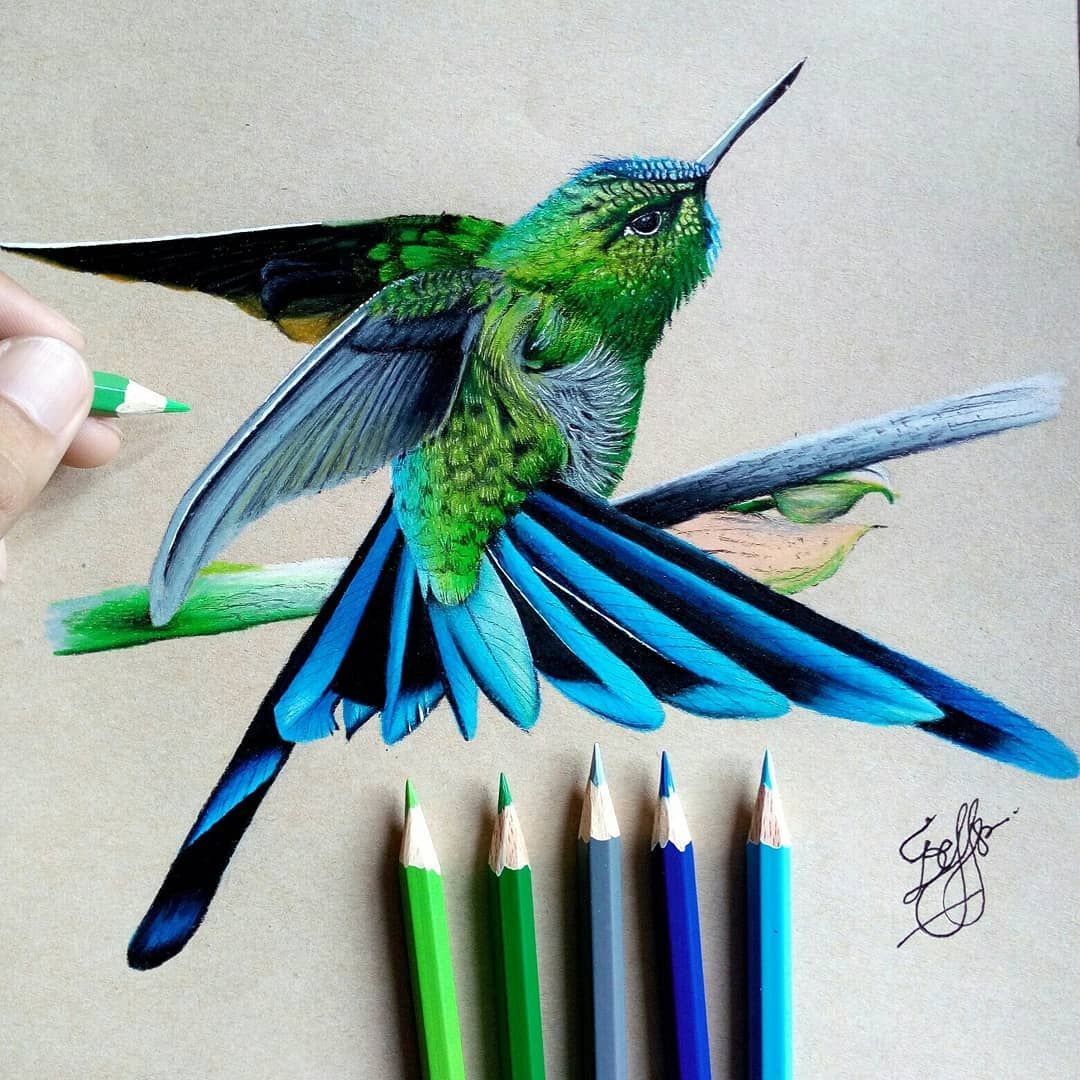 Detail Hummingbird Colored Pencil Drawing Nomer 11