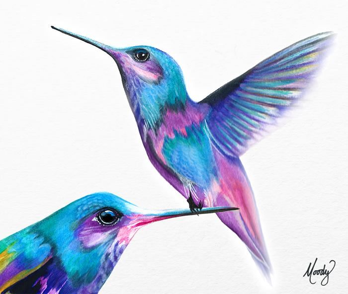 Detail Hummingbird Colored Pencil Drawing Nomer 23