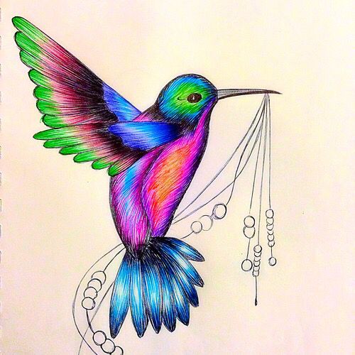 Detail Hummingbird Colored Pencil Drawing Nomer 4