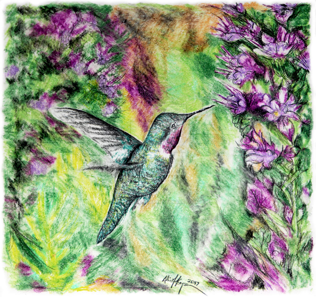 Detail Hummingbird Colored Pencil Drawing Nomer 36