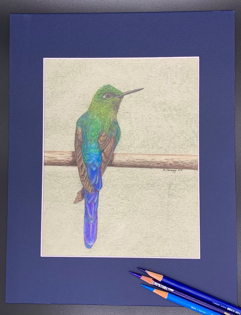 Detail Hummingbird Colored Pencil Drawing Nomer 38