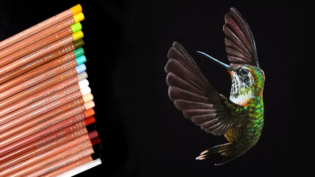 Detail Hummingbird Colored Pencil Drawing Nomer 43