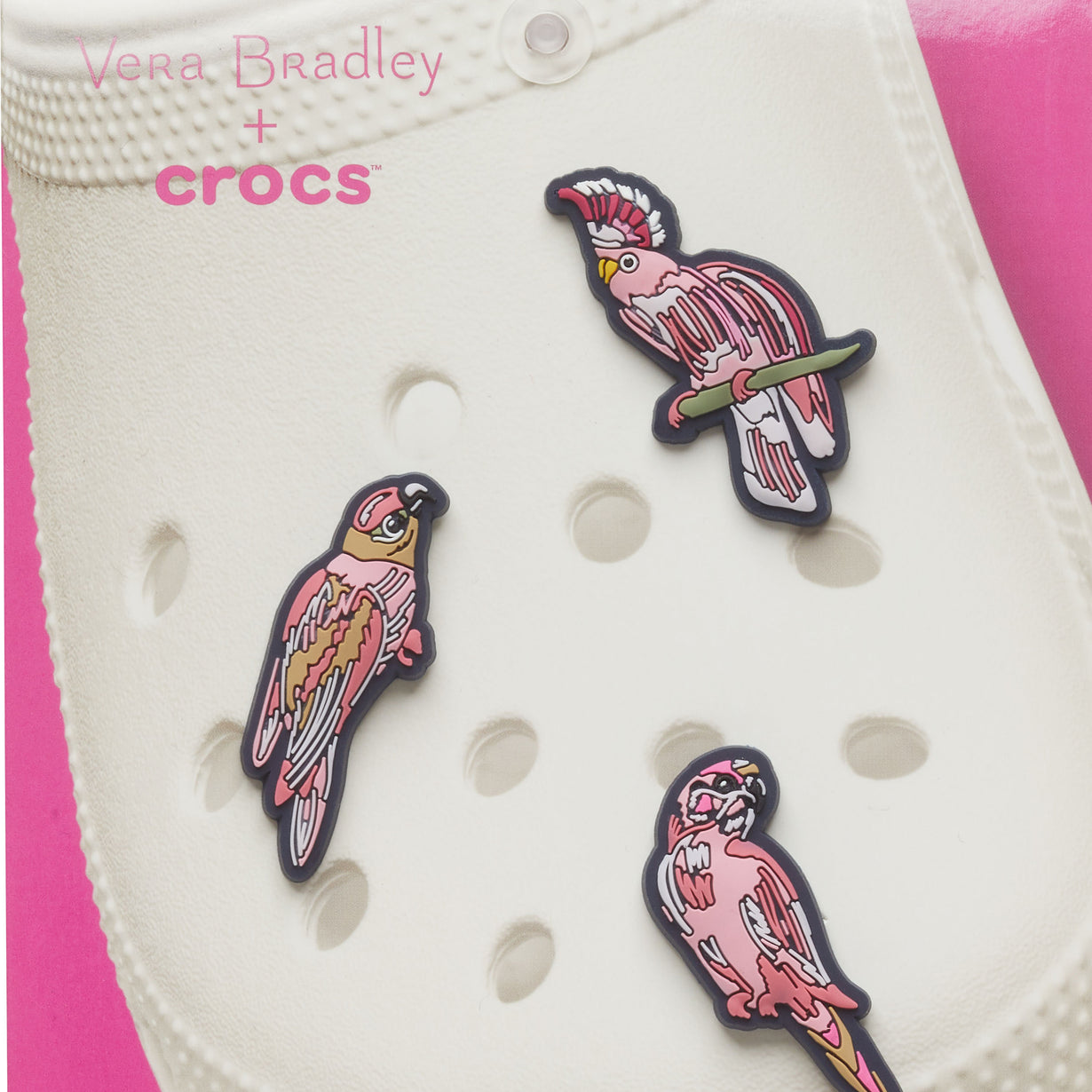 Detail Hummingbird Crocs Nomer 41