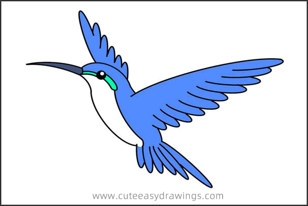 Detail Hummingbird Drawings Nomer 35