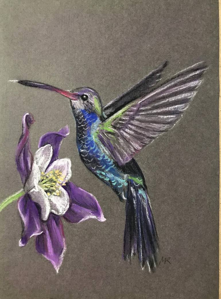 Detail Hummingbird Drawings Nomer 36