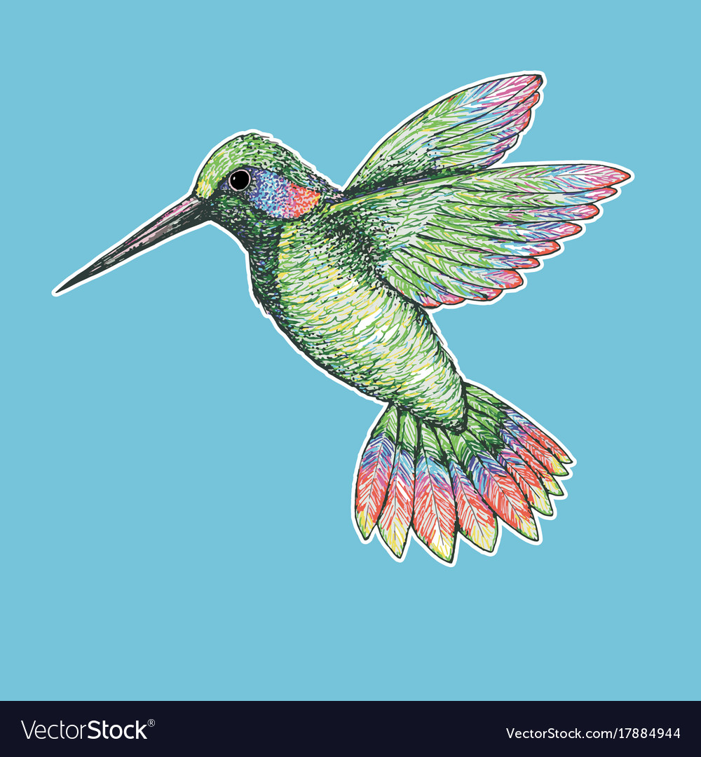 Detail Hummingbird Drawings Nomer 51