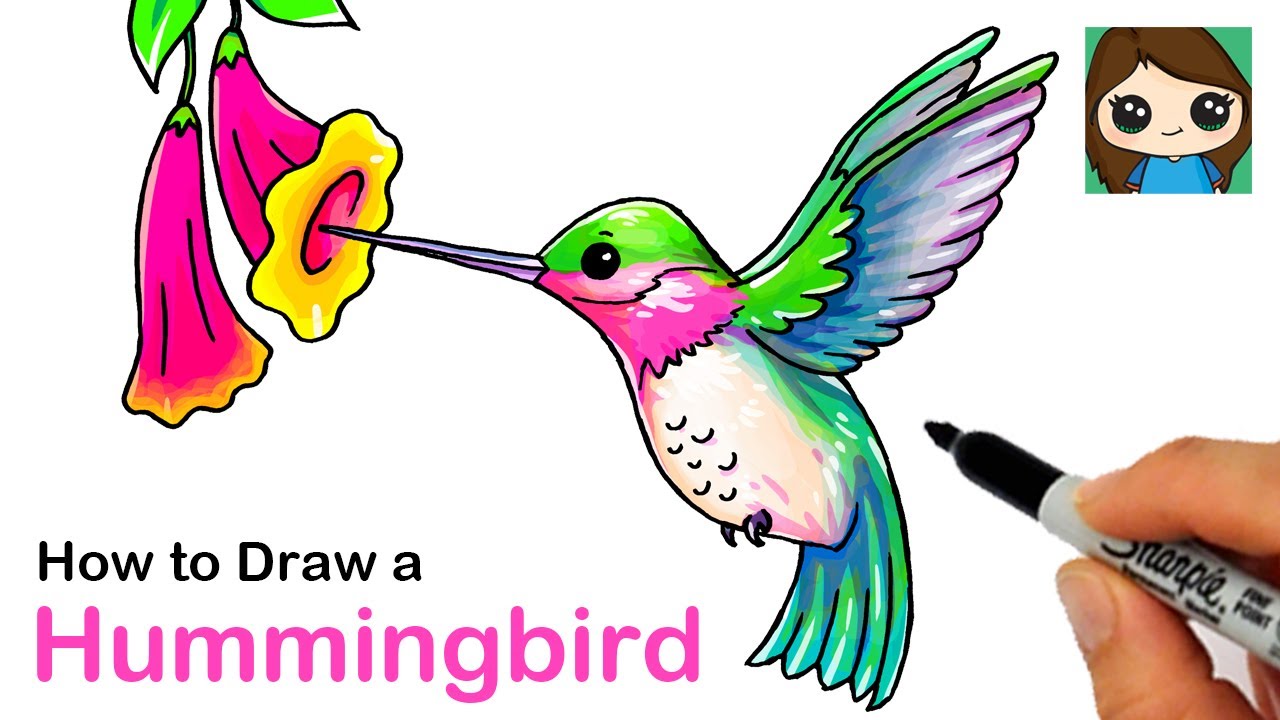 Detail Hummingbird Drawings Nomer 7