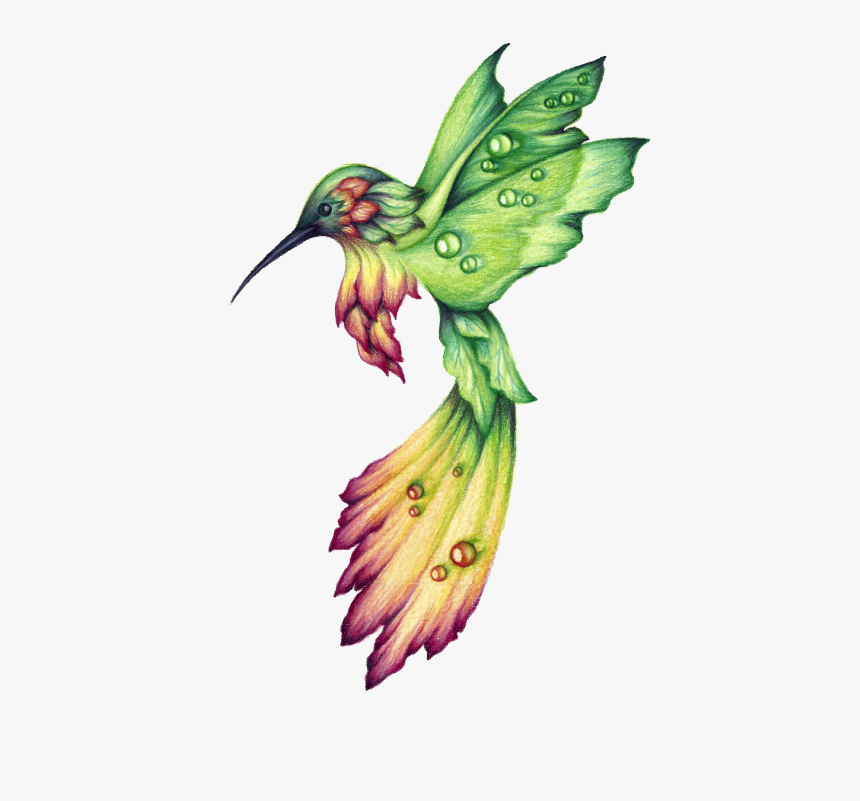 Detail Hummingbird Drawings Nomer 8