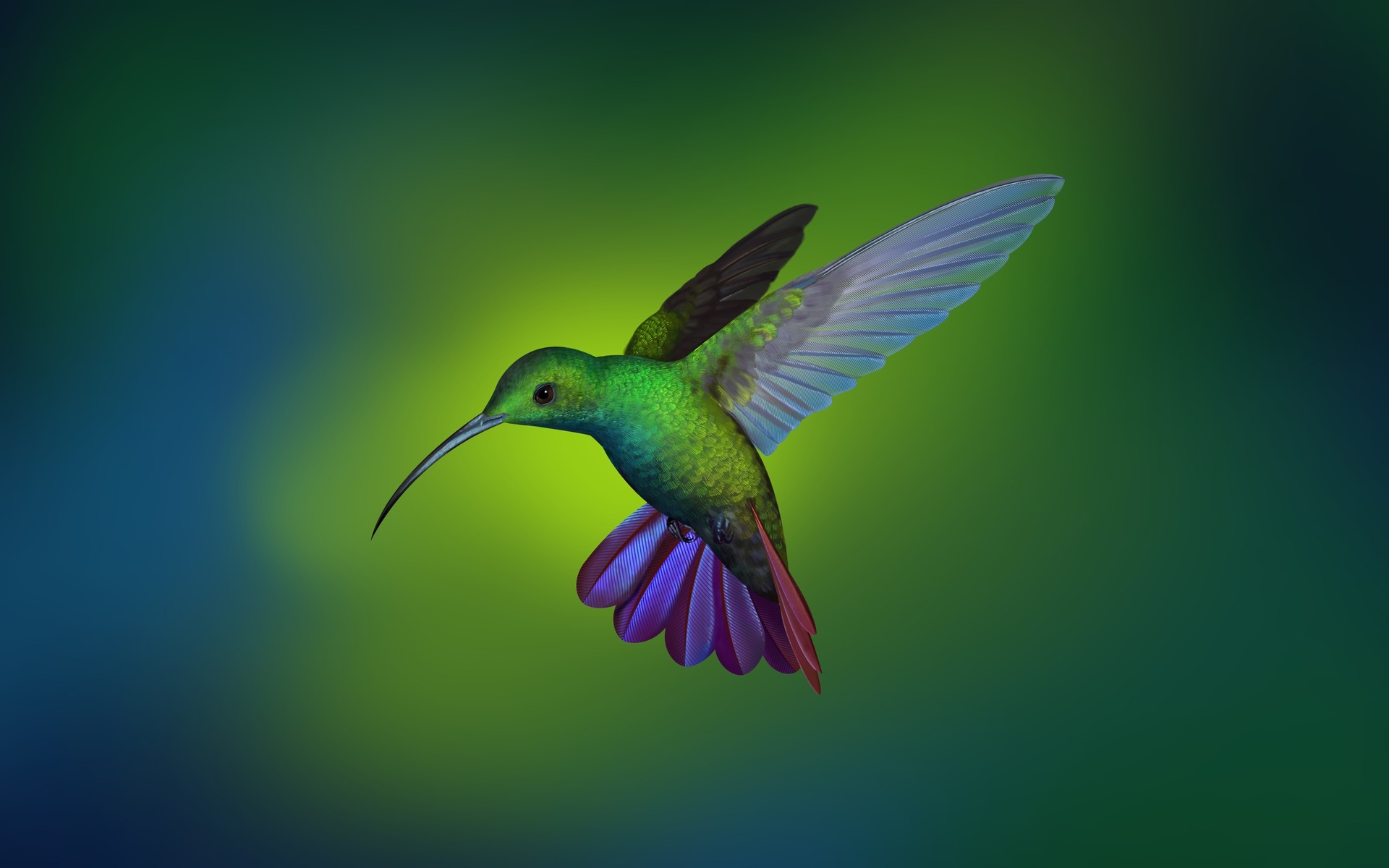 Detail Hummingbird Hd Nomer 10