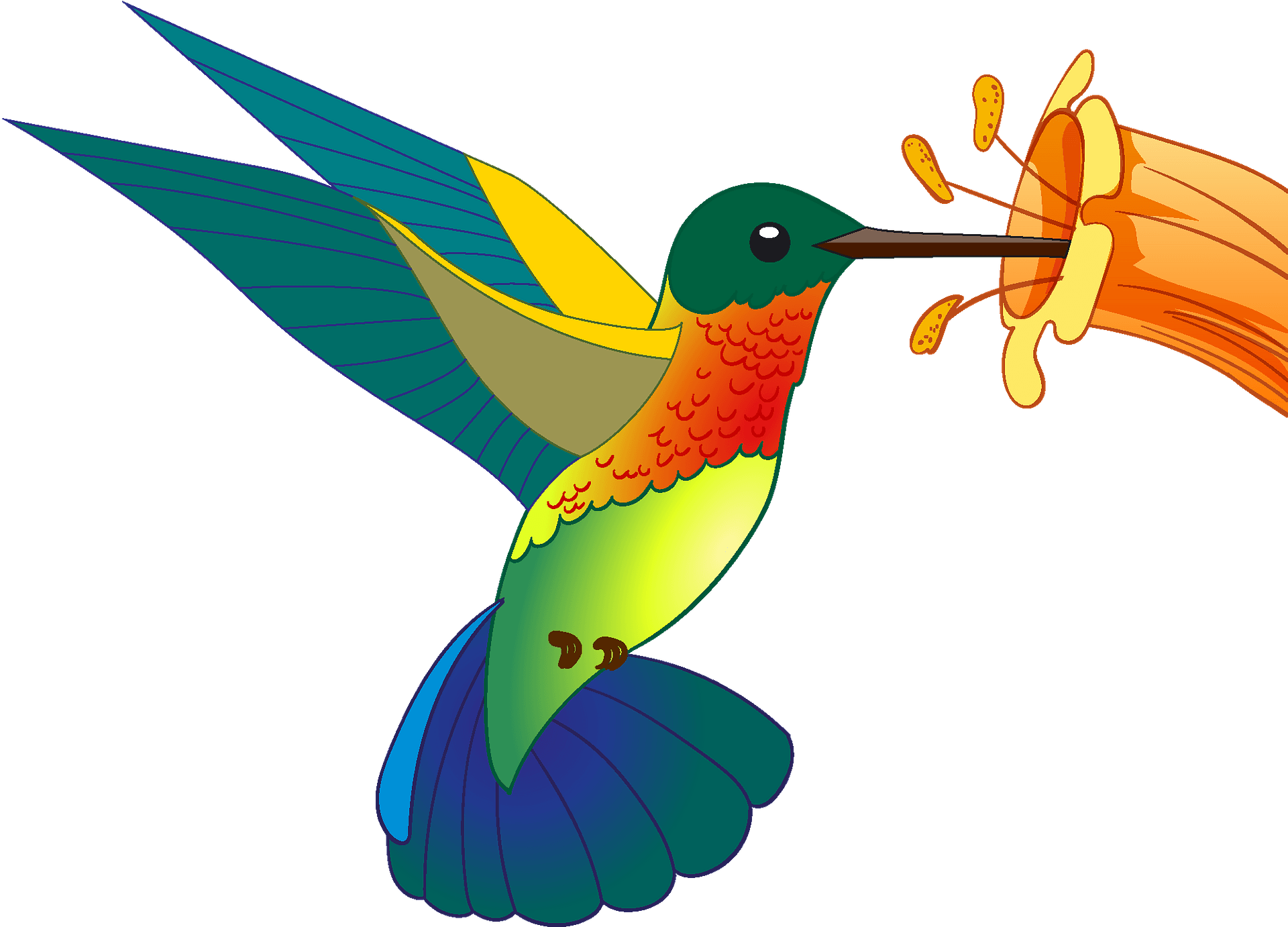 Detail Hummingbird Images Clip Art Nomer 9