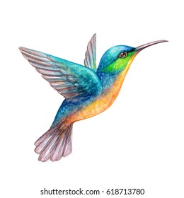 Detail Hummingbird Images Clip Art Nomer 21