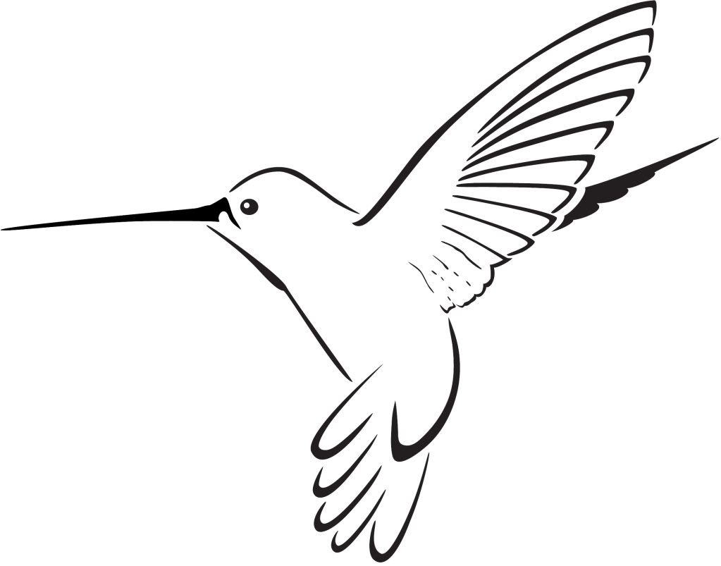 Detail Hummingbird Images Clip Art Nomer 27