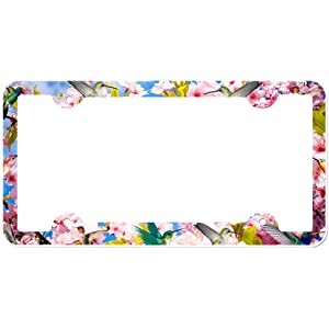 Detail Hummingbird License Plate Frame Nomer 7