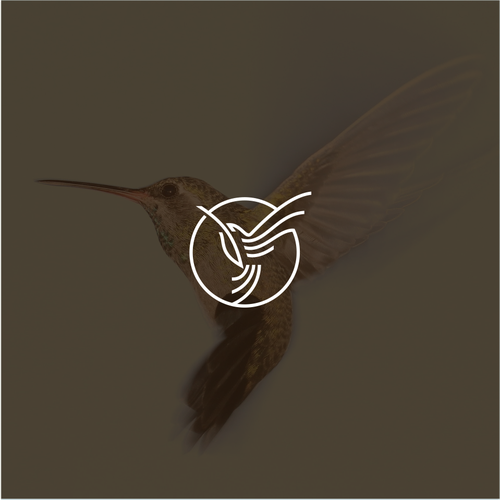 Detail Hummingbird Logo Nomer 11