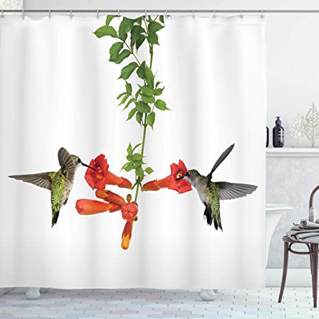 Detail Hummingbird Shower Curtain Set Nomer 15