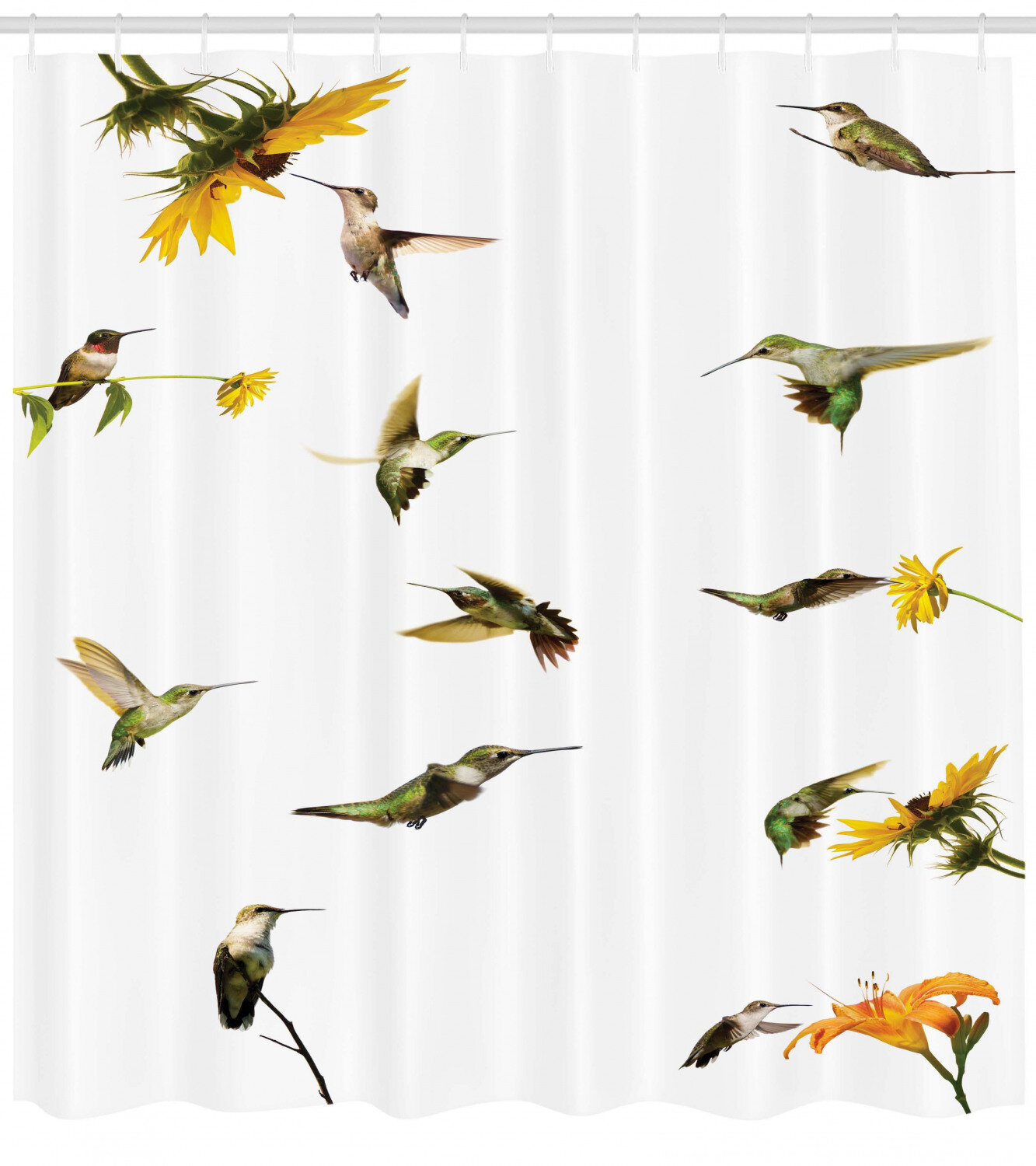 Detail Hummingbird Shower Curtain Set Nomer 17