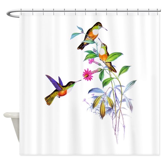 Detail Hummingbird Shower Curtains Nomer 8