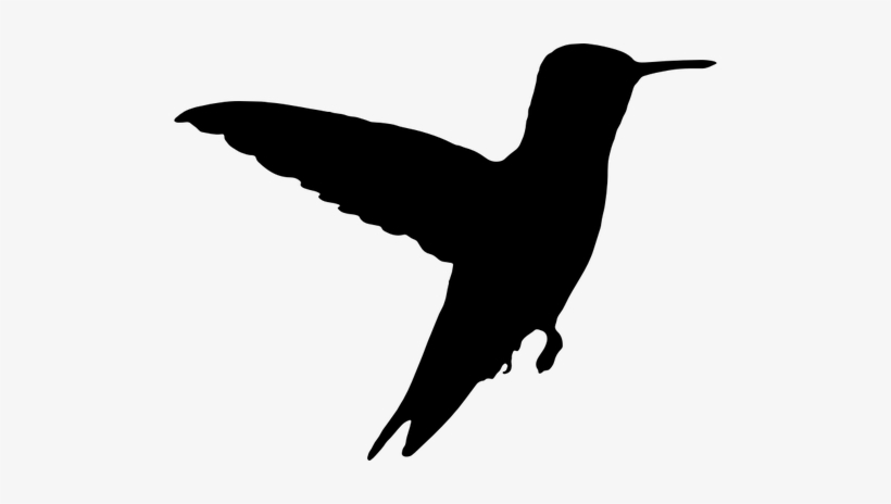 Detail Hummingbird Silhouette Clip Art Nomer 14