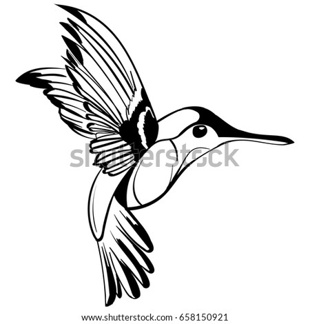 Detail Hummingbird Silhouette Clip Art Nomer 44