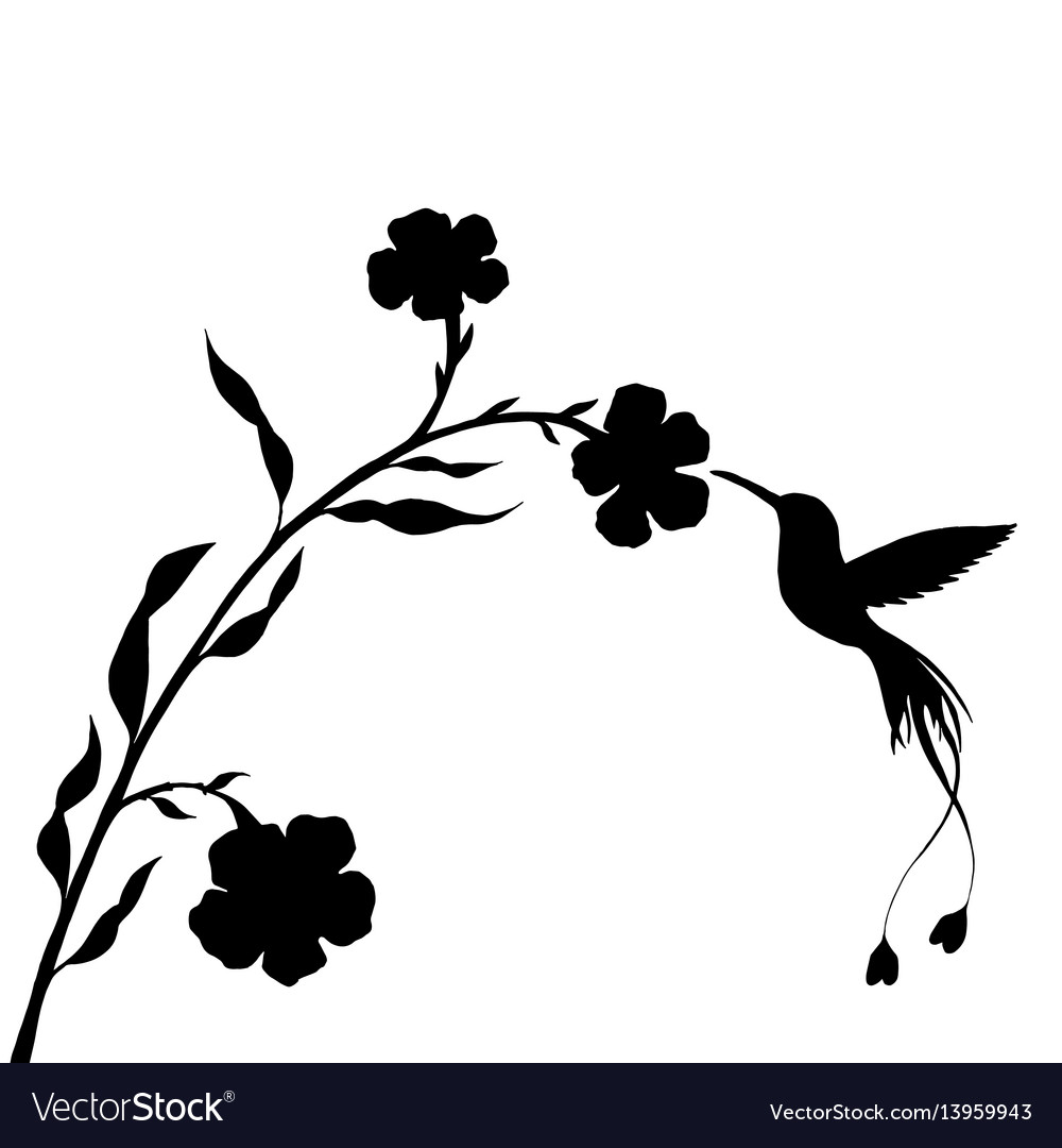 Detail Hummingbird Silhouette Clip Art Nomer 45