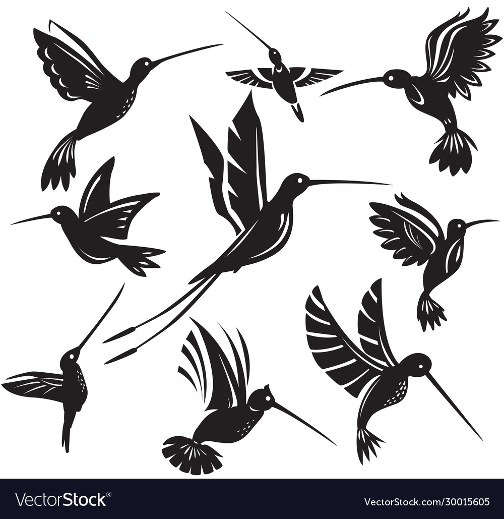 Detail Hummingbird Silhouette Clip Art Nomer 46