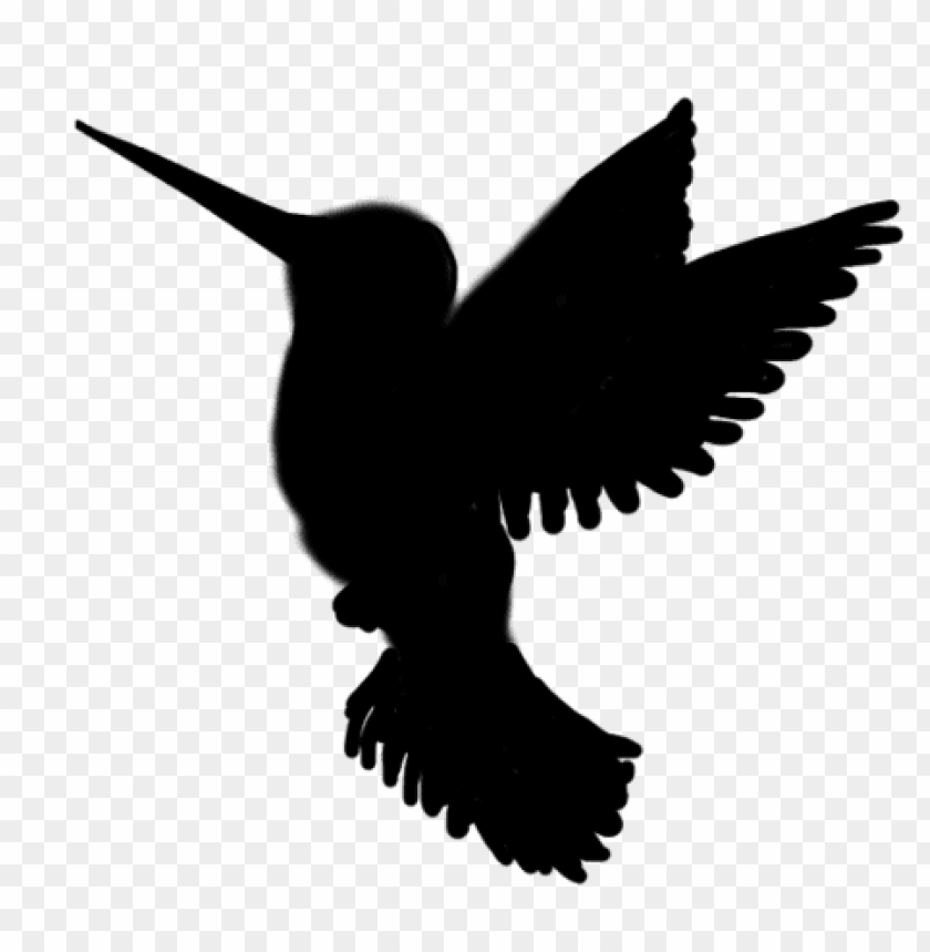 Hummingbird Silhouette Png - KibrisPDR