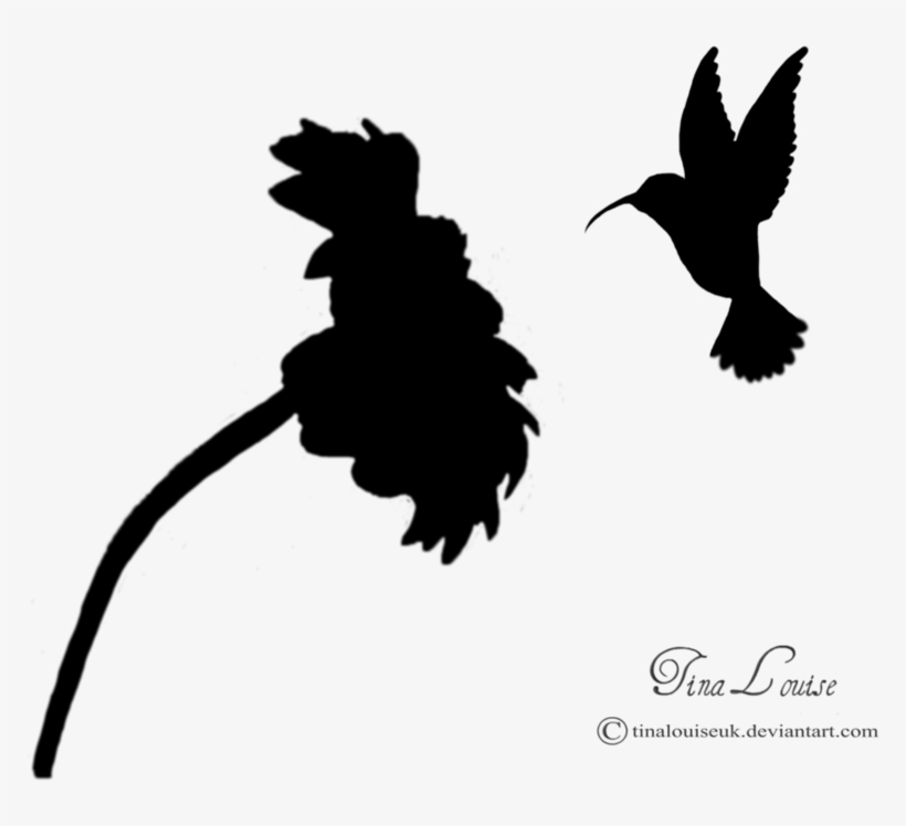 Detail Hummingbird Silhouette Png Nomer 32