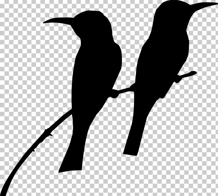Detail Hummingbird Silhouette Png Nomer 41