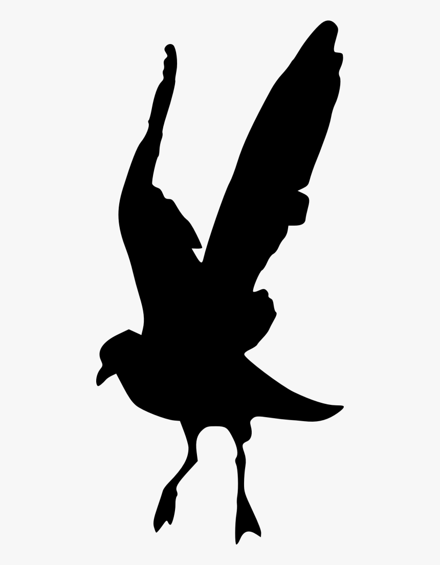 Detail Hummingbird Silhouette Png Nomer 43